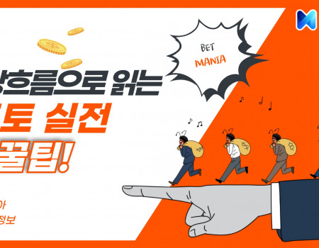 배당 흐름으로 읽는 토토 실전 꿀팁