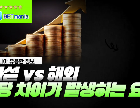 사설 vs 해외, 배당 차이가 발생하는 핵심 요인