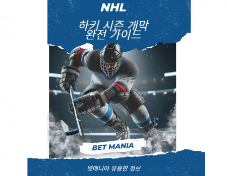 NHL 하키 시즌 개막 완전 가이드