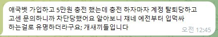 애국벳