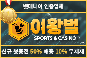 여왕벌 도메인 추천인