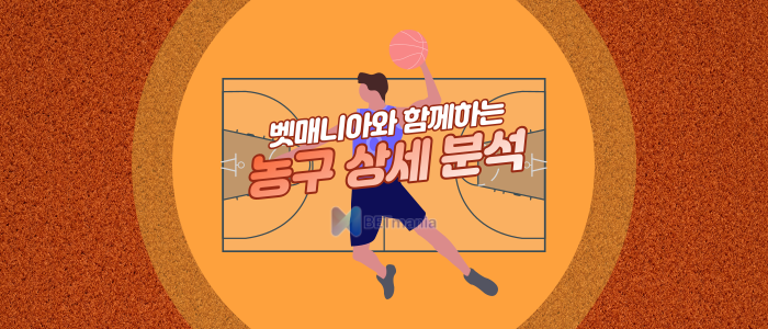 해외농구 NBA 농구분석