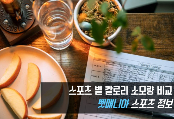스포츠 칼로리