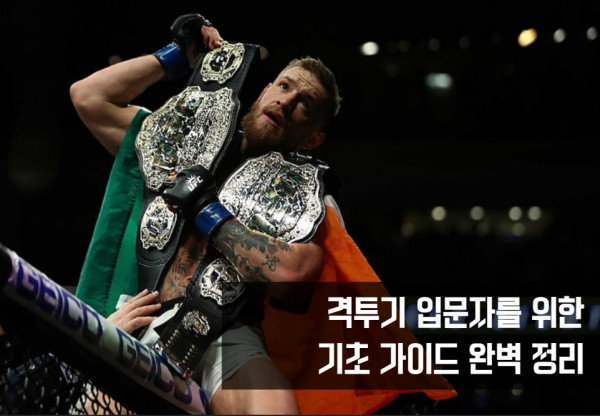 UFC 복싱 MMA 가이드